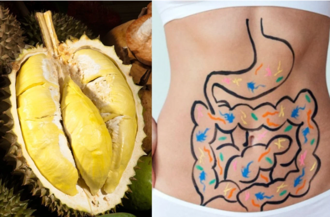 Ăn sầu riêng có tốt không