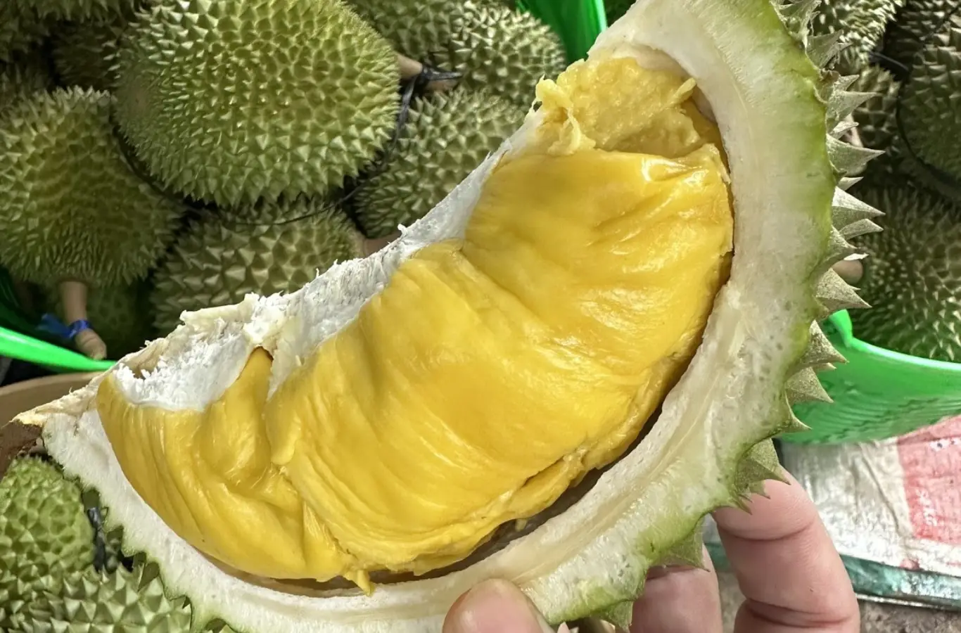 Sầu riêng loại nào ngon nhất ở Việt Nam? Sầu riêng loại nào ngon nhất