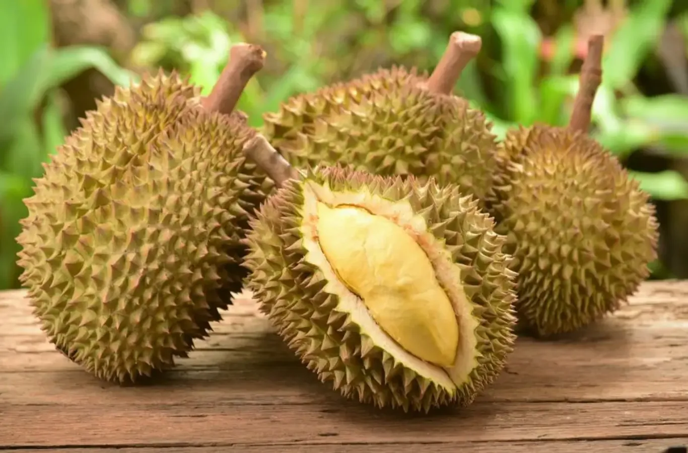 Sầu riêng loại nào ngon nhất ở Việt Nam? Sầu riêng loại nào ngon nhất