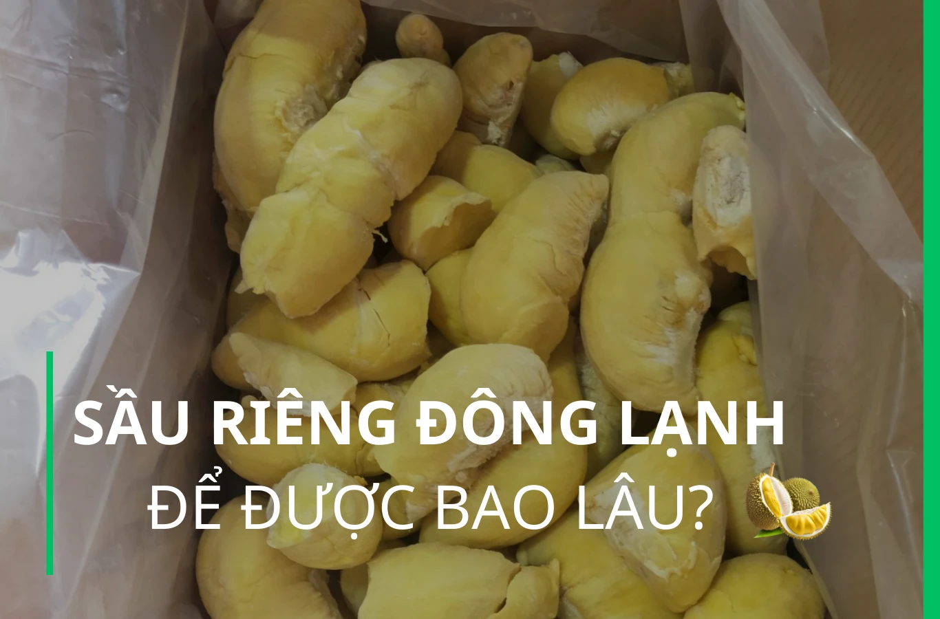sau rieng dong lanh de duoc bao lau thumb